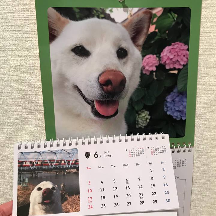 6464d623 ed04 457c b305 e621909a63c2 1527814264577