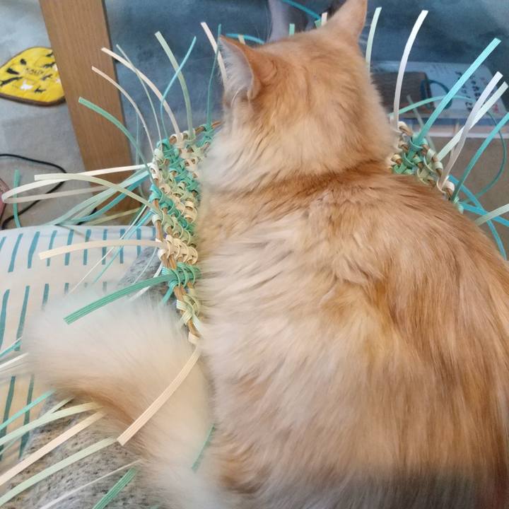 6464dcc2 a10a 4a2f baa9 e94136cea40b 1622355923892