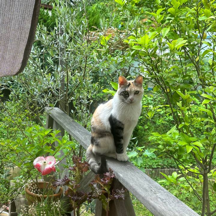 6464fce8 0327 461d 99a9 5ecc271d51a7 1716336662974