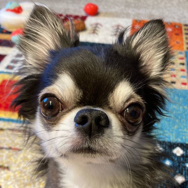 64652e52 f653 4153 9d5f de09ab3fd8aa 1712968403024