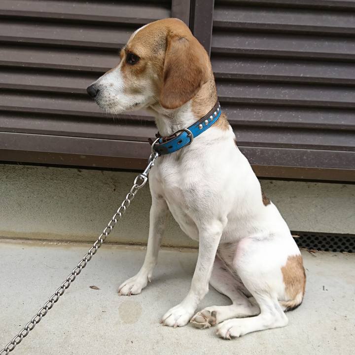 64652f75 6b61 4fa1 ad77 b320791ddee3 1567038577262