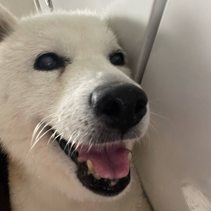 64654f7a 402e 45c3 89d2 4201160b4f80 1762687520120