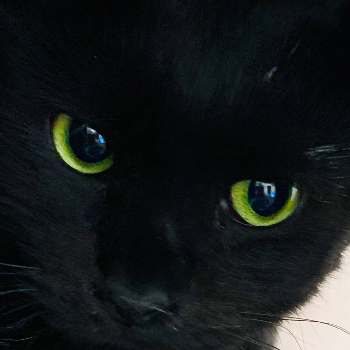 64655b95 df5d 4f57 9464 1c1b64c4acc4 1589579471929