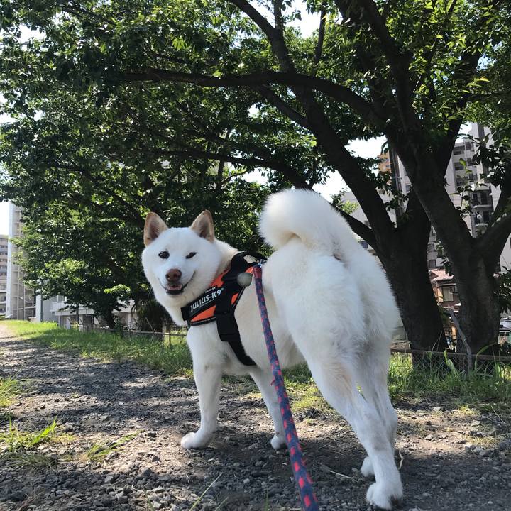 6465714a b009 4532 8e51 44a888dc1f7e 1528071336675