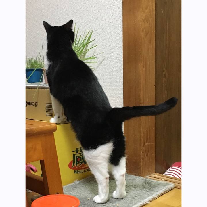 64657854 ab82 4c65 9689 315e70fb6eeb 1534765223768