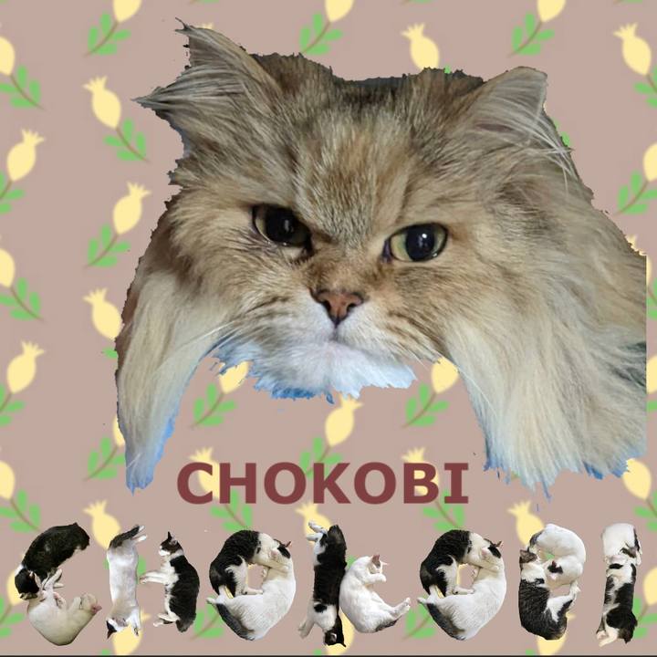 646599ba bf83 4df2 b77d a5bc5c68105f 1669089798478