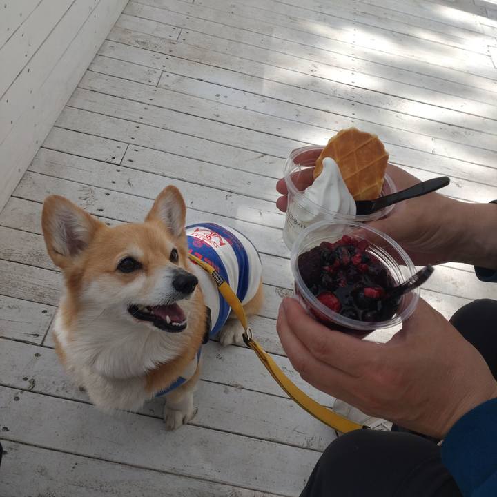 64659bb0 5d40 4907 b15d 310695d6cb31 1683202898883