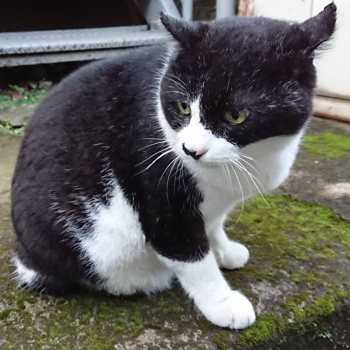 6465bcc1 92c4 427c 825a cc278fdcae85 1624094390825