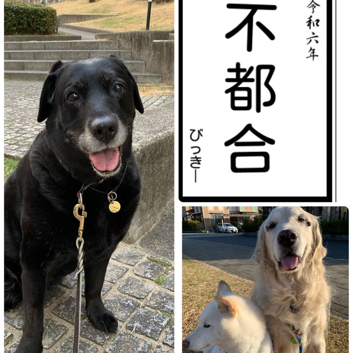 6465c15f 9b08 404f 94b9 f2e2e7fbb994 1704870064613