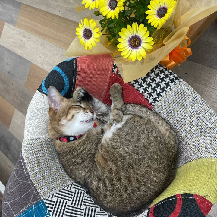 6465c8e1 cbc6 47fe a5ec af1e27525f31 1740823303829