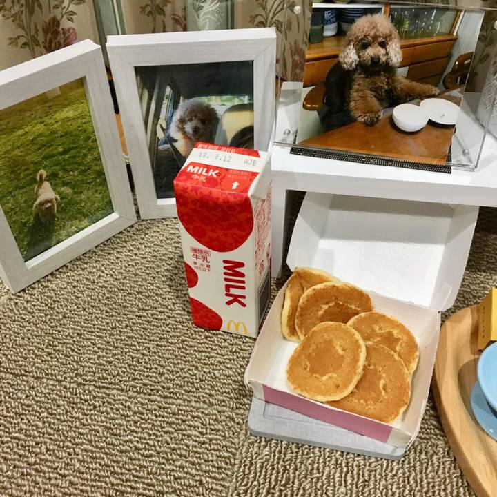 6465d58c 0451 4b18 b420 1d1625ecef46 1533208307944