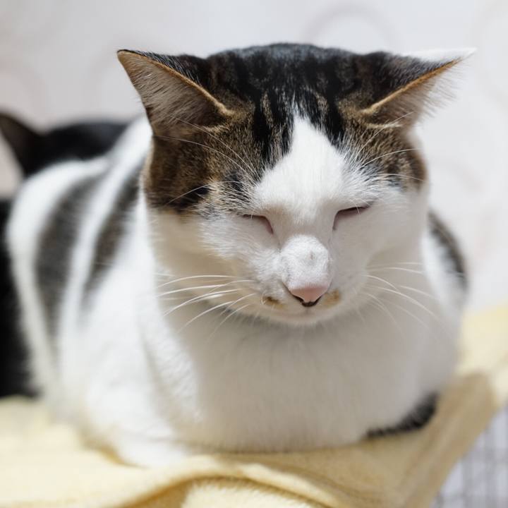 6465e1b7 4773 4459 9aa8 f5acb4d8ccc1 1515541027551