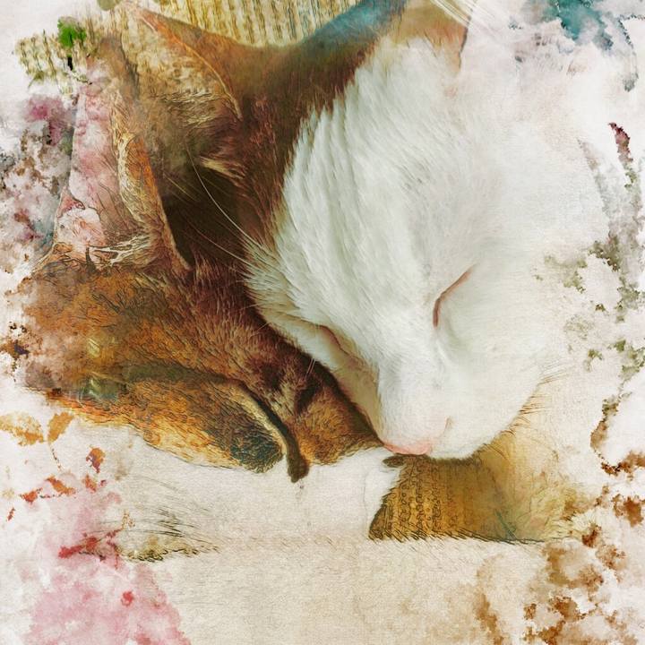 64662ee8 5a80 4d0a 9d94 040b42e74b32 1510561185935