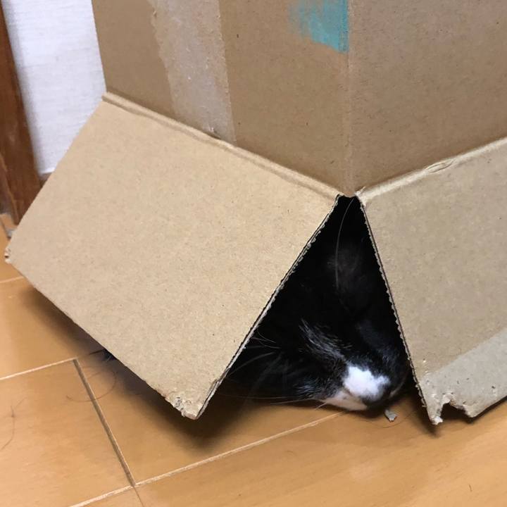 64663d2f 48f2 418b a2e3 51e8cde24c54 1597376425340