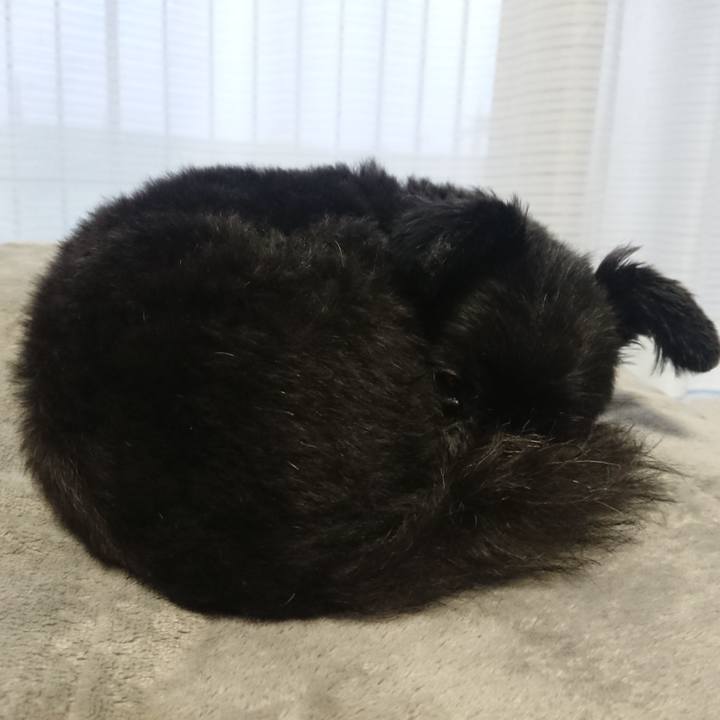 6466423b 935d 485f a68a ad5e252cb72f 1537517576643