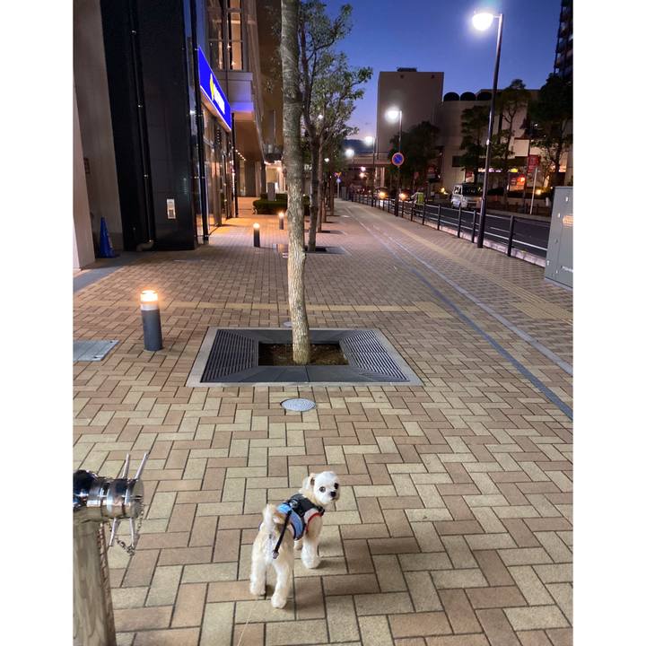 646684ce 2d19 45ad a495 d2e45655e9f9 1572858276583