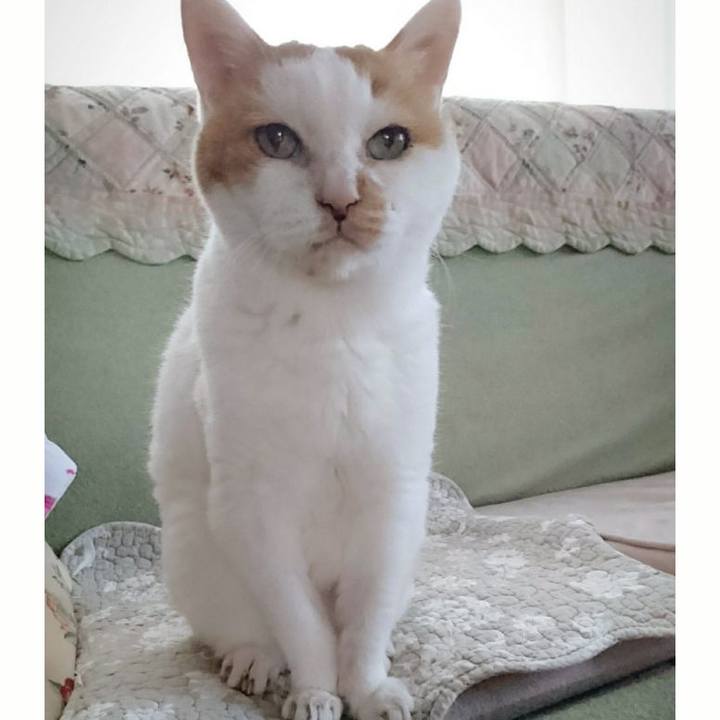 6466928e 4887 4d86 8896 e2718408dc4a 1611993162165