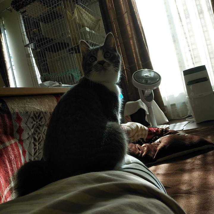 6466c79a 8877 4cf6 95b9 05e4ff207c5a 1573081921202