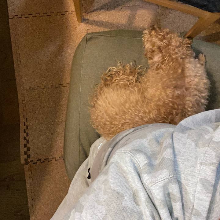 6466f4ff d12b 4cdb 8e60 fd6df130ec9b 1665738636556