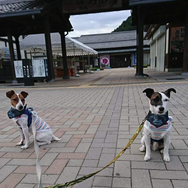 64673ce7 7d35 459e a903 55b72a48d1ba 1537651820166