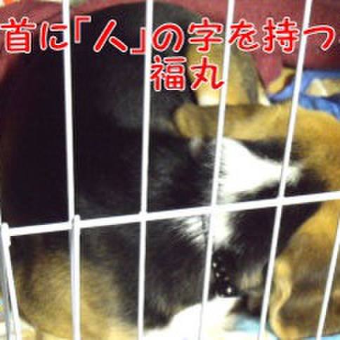 64674014 f3af 463d 94e8 37f1d4575e79 1680133311828