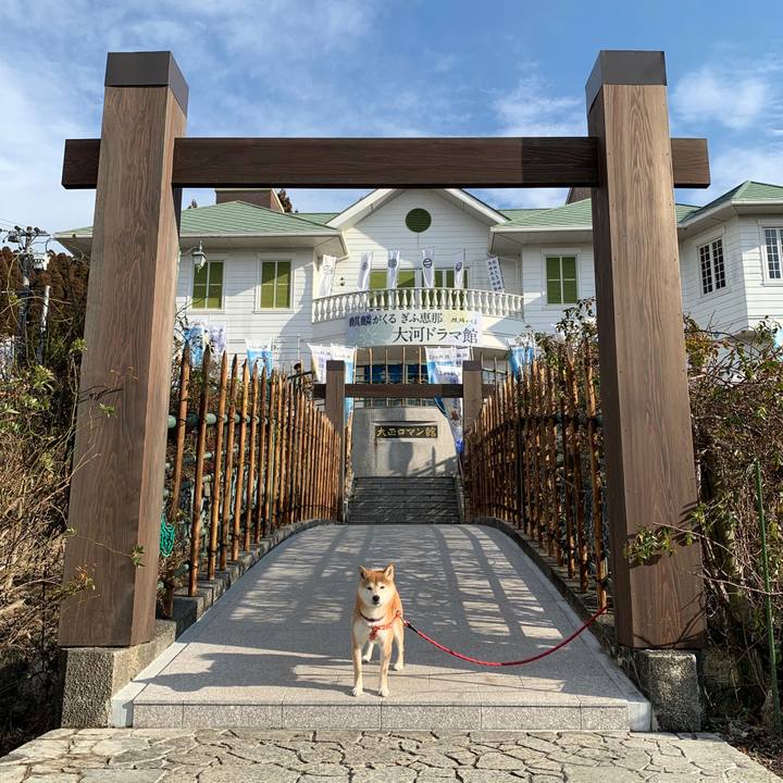 64675b28 9dfe 4143 b72b ea1dae231201 1578991570212