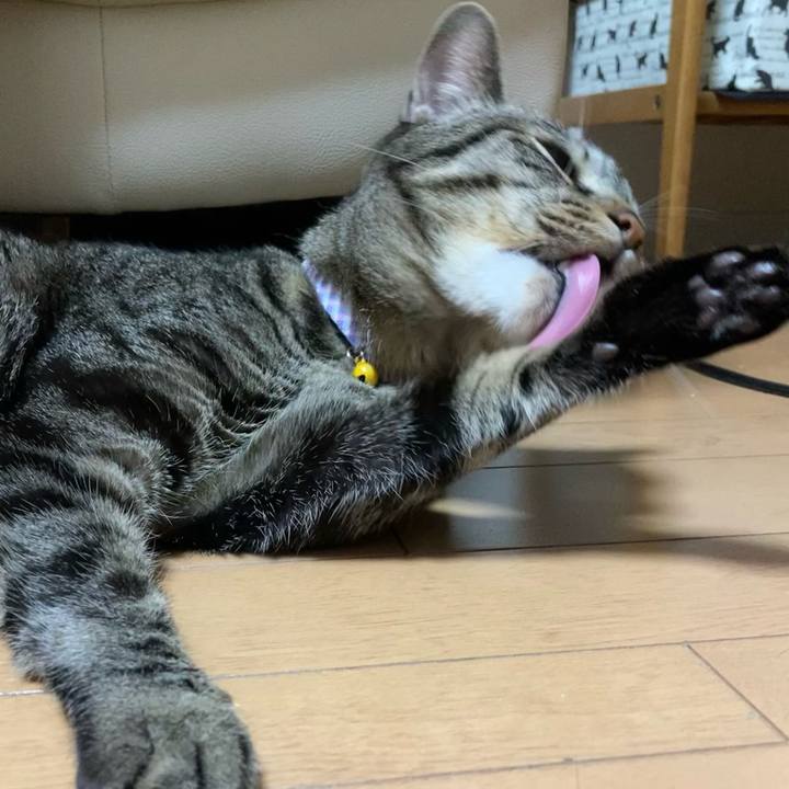 646763b5 10c8 4f89 8f69 cec1954d25bb 1610855081793