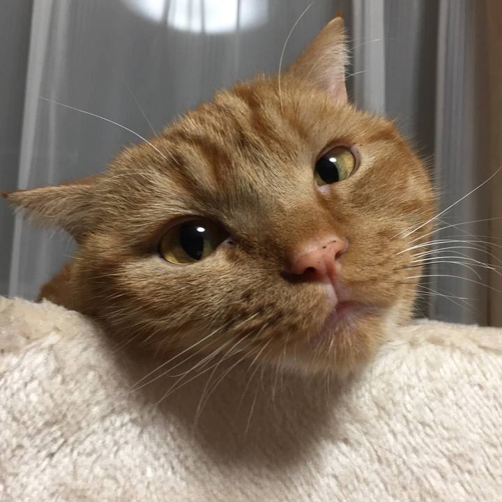 6467c753 b6a5 4034 a8ba 166421ce9a8e 1545226372314