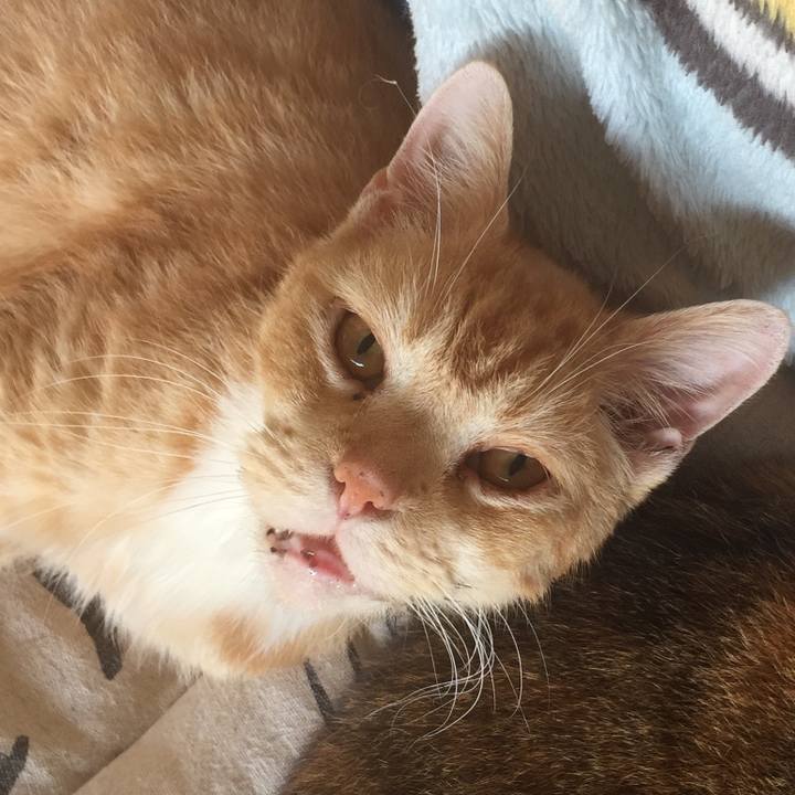 6467c786 2d53 4763 9cec 8383211ee3aa 1572576362485