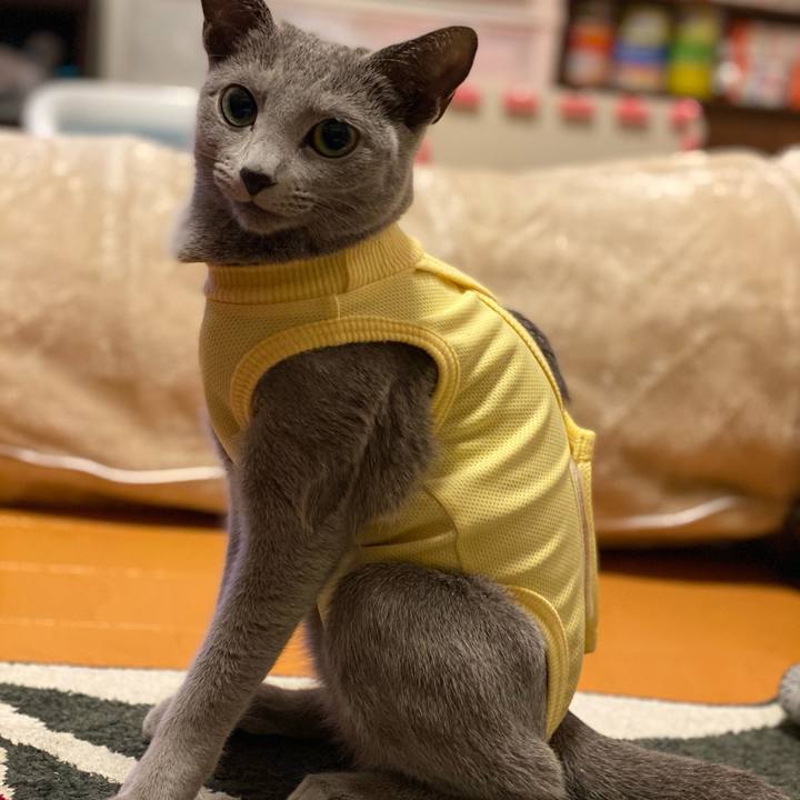 6467c78b 7ce8 4cf3 a1fa 73ed590980cd 1608960354182