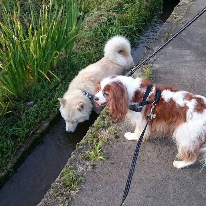 6467db28 bc27 4670 b84a 74c94c2143bd 1531172057375