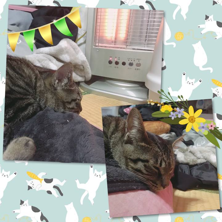 6467f961 406d 49e5 9772 6eab4dd04d9a 1551107124594