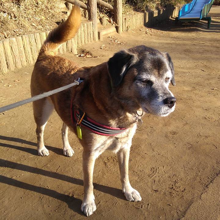 64680bd6 de73 4846 bad0 60c3b31aa336 1548201635173