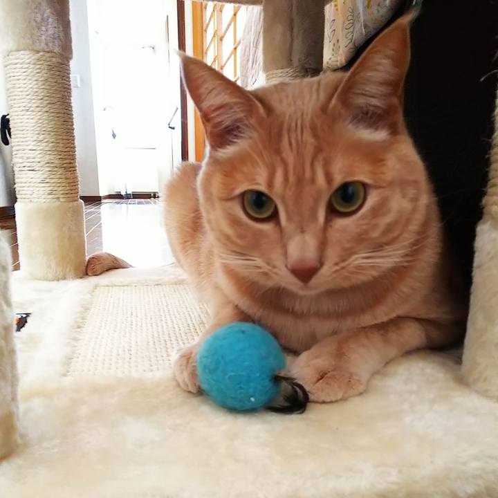 646874cb c33c 4681 aa7a f8e1eb1e2e5d 1583026461995