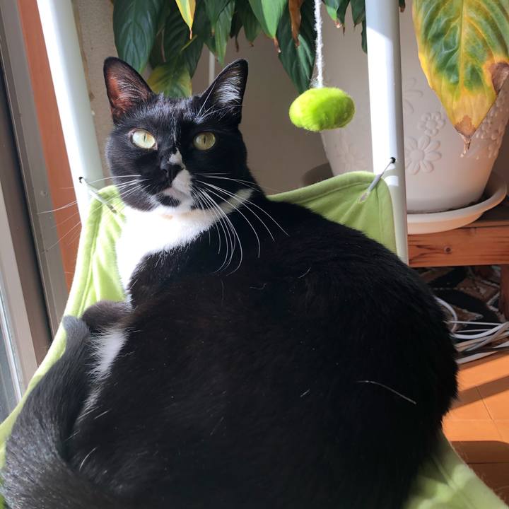 64690b0c 3128 457b b740 aa0d9175754f 1545707749992