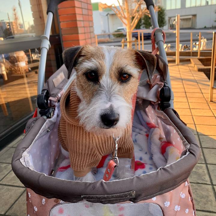 64694568 96c4 47a9 82d1 ee2254d01fe1 1609406090621