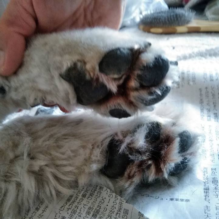 64694727 9396 415f a672 8a2976fa77cf 1555851801779