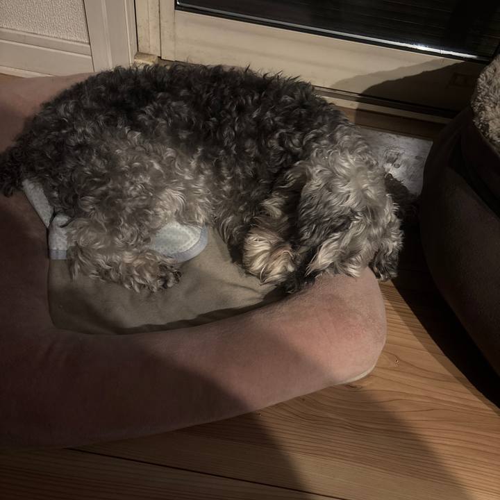 64695ff5 ea8f 4cbe 9a5a ced3be992f40 1772527131858