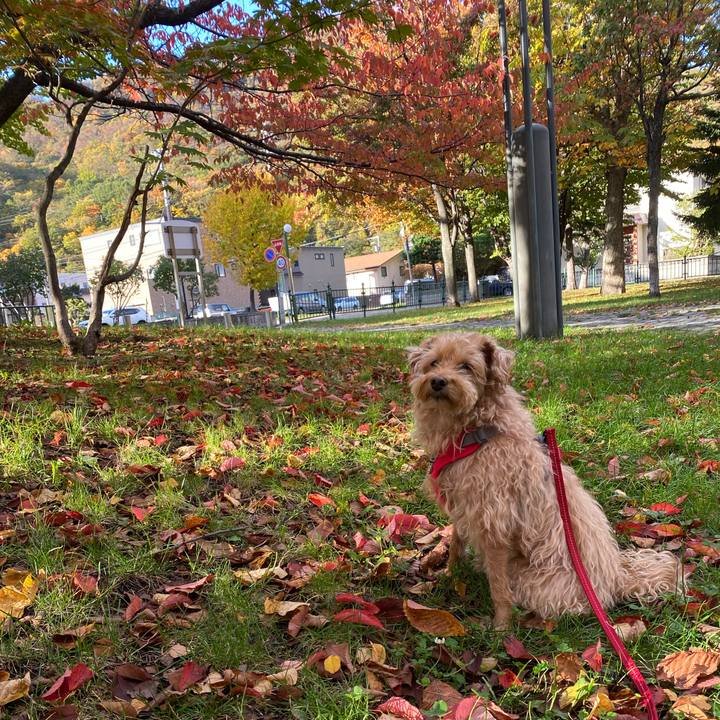 64696036 ceb4 4ee3 9318 83307ae62376 1666133271590