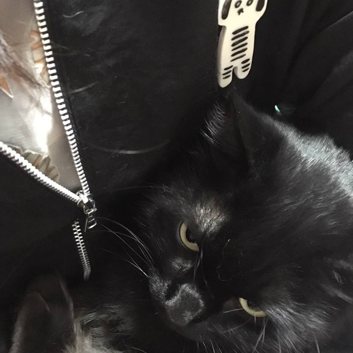 64696a44 0024 4567 9216 7fc0ae66450e 1511174367145