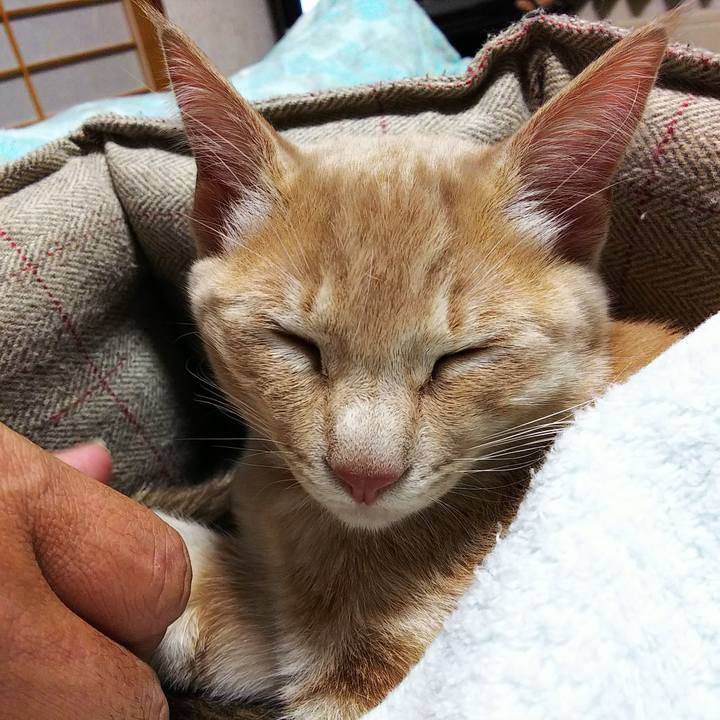 64696ca9 7e46 488c 8396 3b9518ed161b 1544616711403