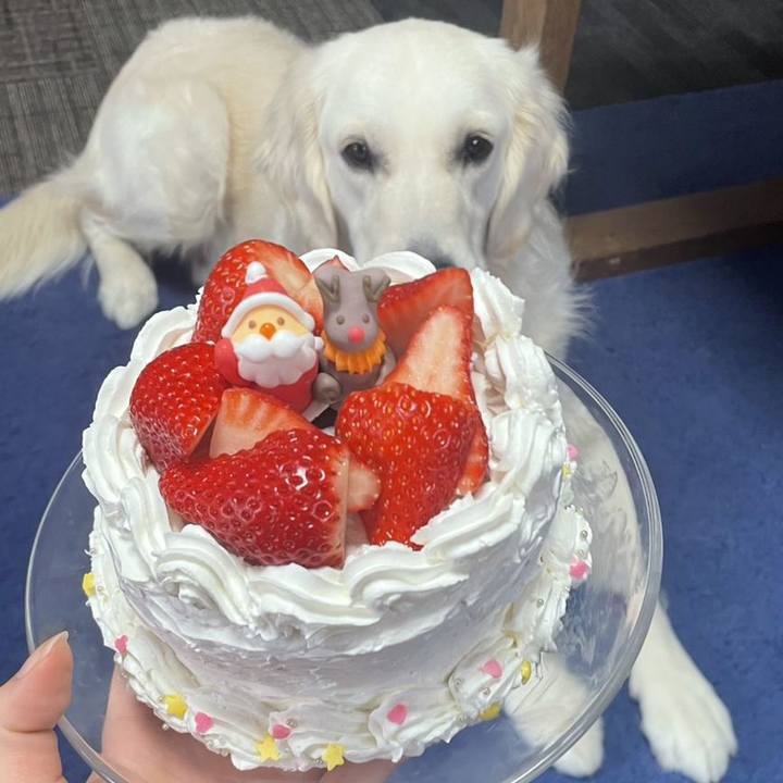 64699497 99ff 4164 974e c81586fb5bde 1766618712857