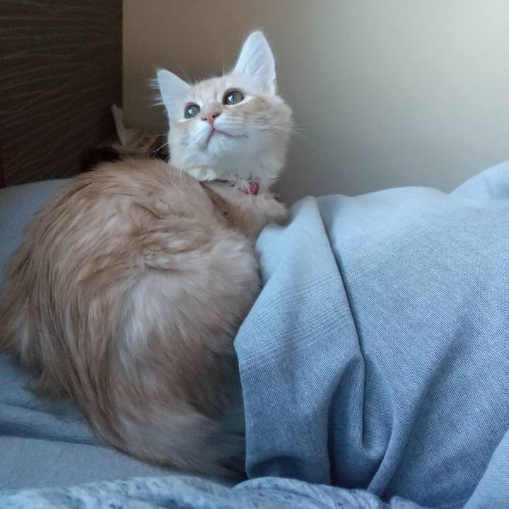 6469bb06 cd84 40f3 a38c 85562a74cc86 1608422179916