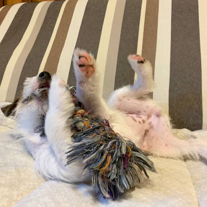 6469c211 c57a 458e a4be f56cc8820182 1564914764698