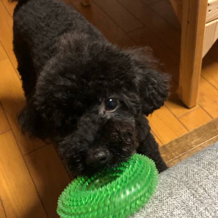 6469c62c c315 489f 9677 cba139abe206 1594938593739