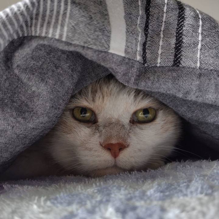 6469e8db 40a0 4760 8a1e a200e022ac72 1731197766612