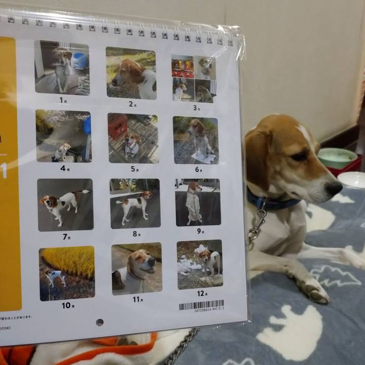 6469ff7e 744d 4a15 a74c 2eb4f8d89709 1606474568487