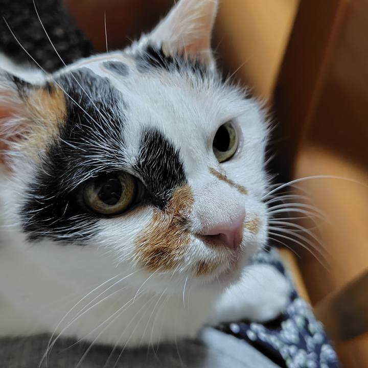 646a2fe0 088f 49cc a65b 599e55cbb38c 1754834724455