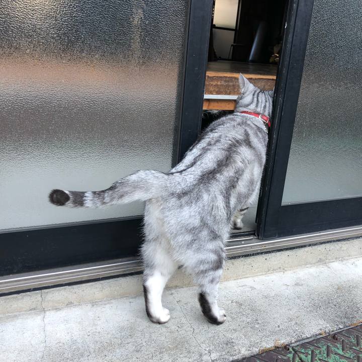 646a51f1 9414 436e 97d0 4c4abbf95b65 1600705307336