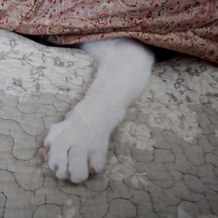 646a9ec4 e78a 449e b977 9ddd4890d692 1641552321909